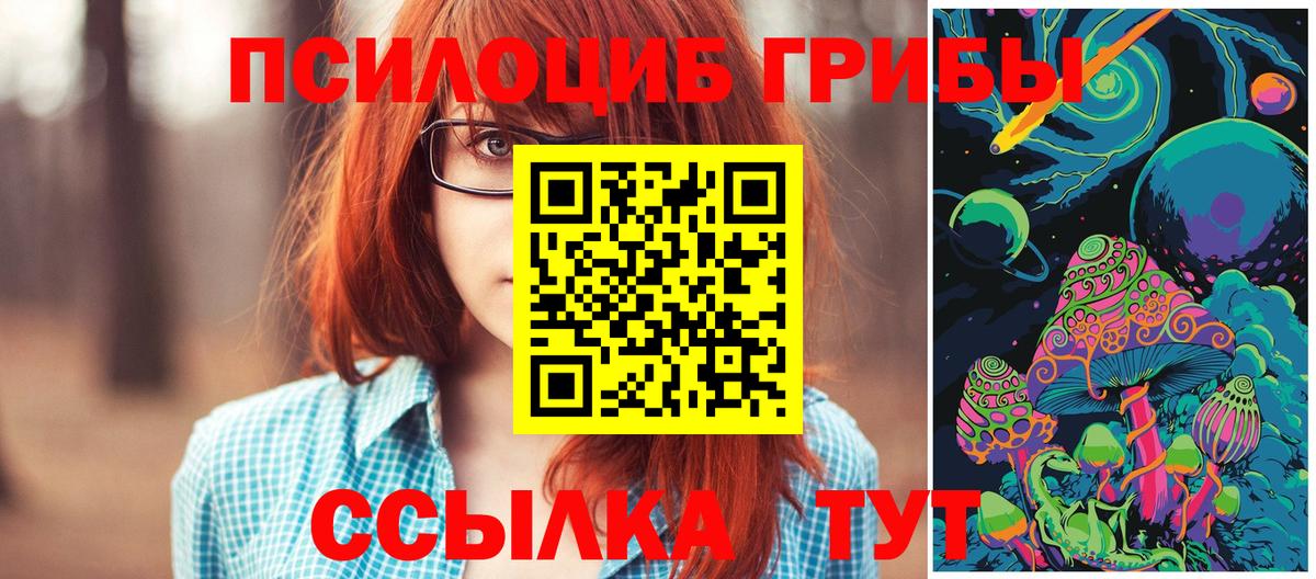 Псилоцибиновые грибы Psilocybine cubensis Ишим