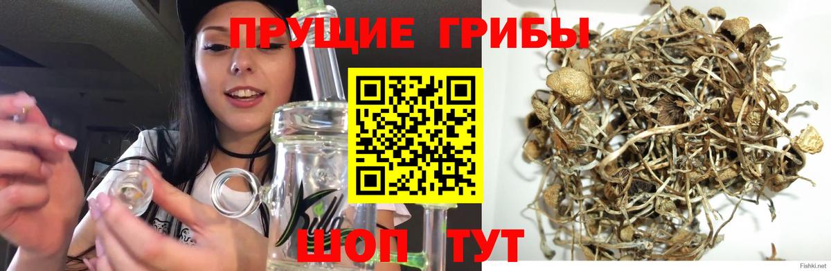 Галлюциногенные грибы мухоморы  Вход с VPN  Ишим 